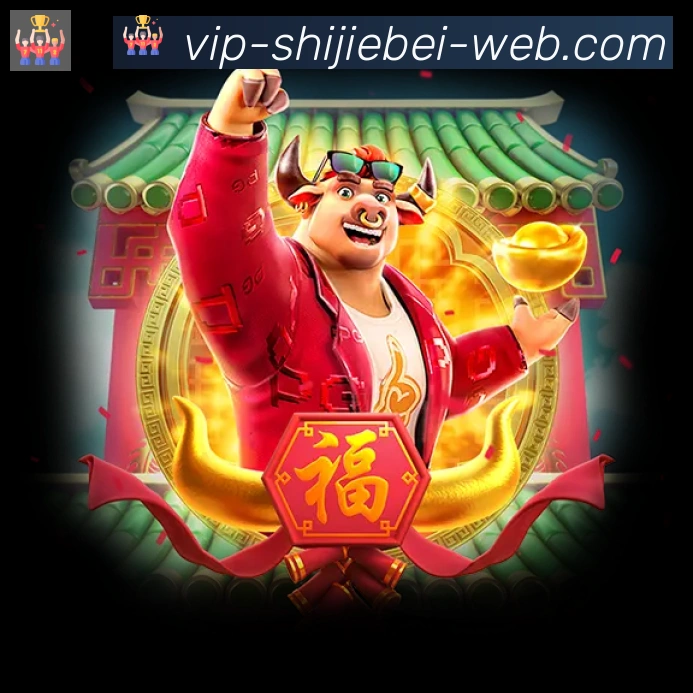 未来规划